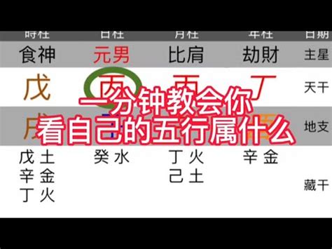 1982年五行屬什麼|生辰八字查詢，生辰八字五行查詢，五行屬性查詢